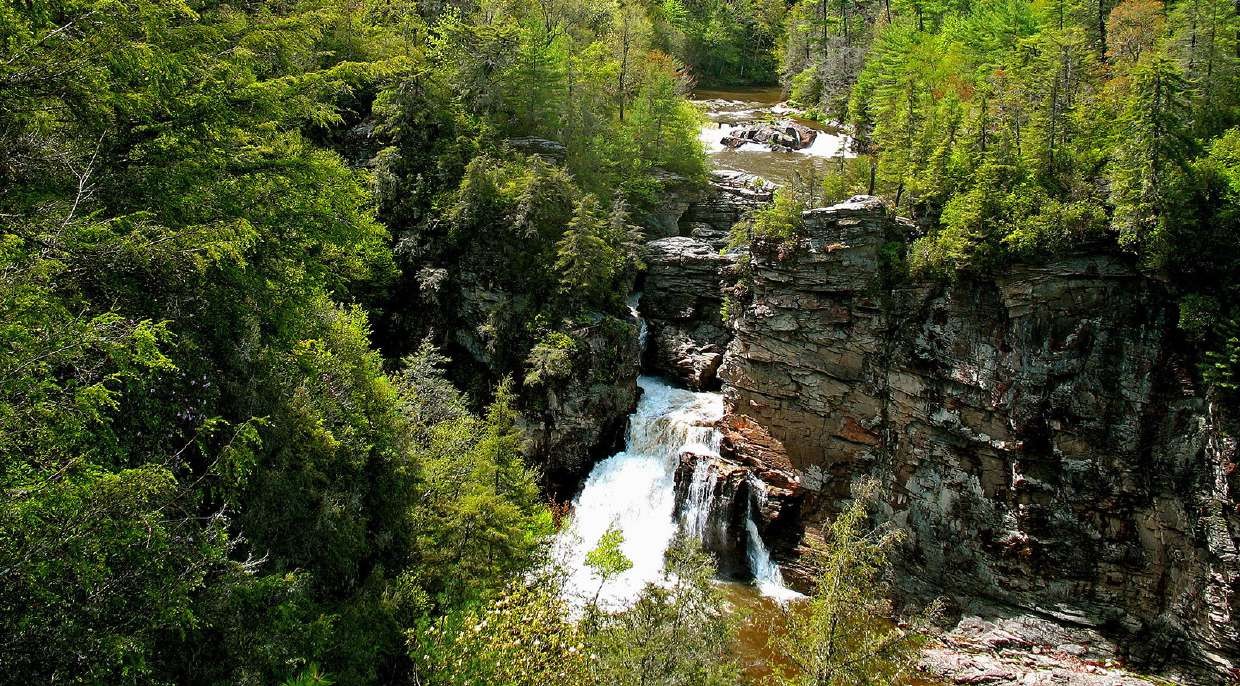 Waterfall dropping into a wooded gorge