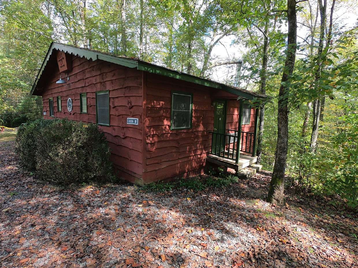 Cabin tucked into the forest