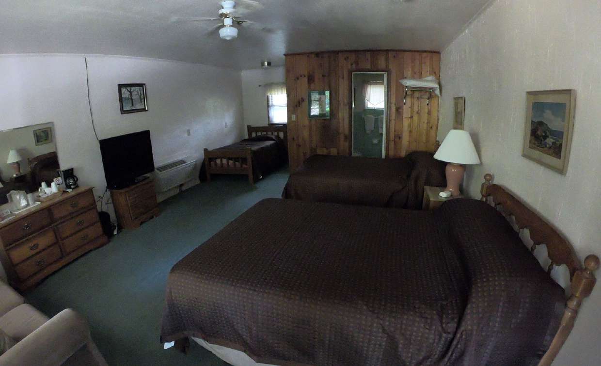 Wood-paneled room with two beds, TV and dresser